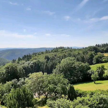 Berg Ferien In Der Eifel公寓 外观 照片